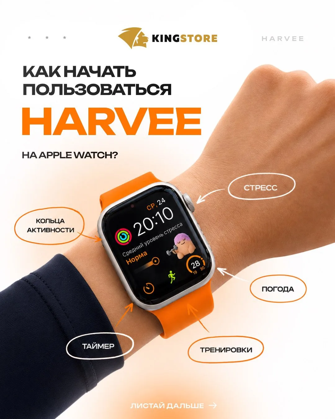 🐾ПУШИСТИК HARVEE