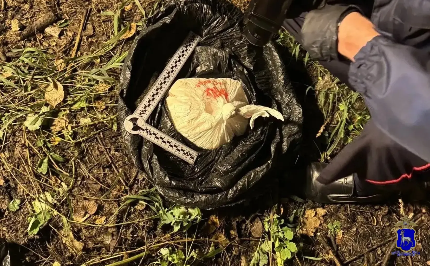 В Чапаевске задержан уроженец Кемеровской области, находившийся в федеральном розыске: ...