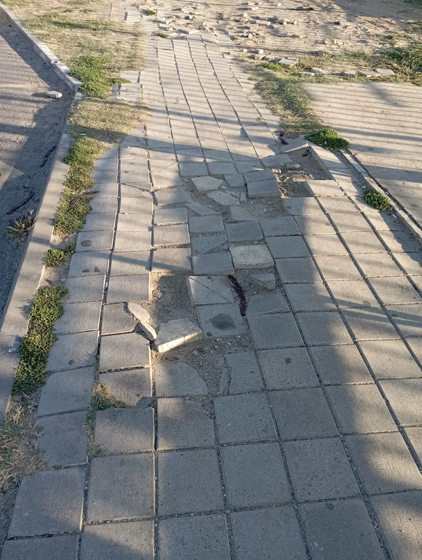 Нам пишут:
