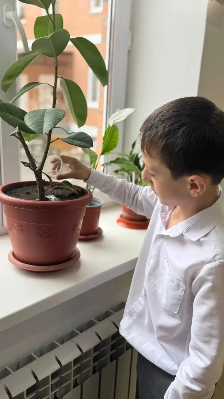 🌿 Мы — юные экологи! 🌿