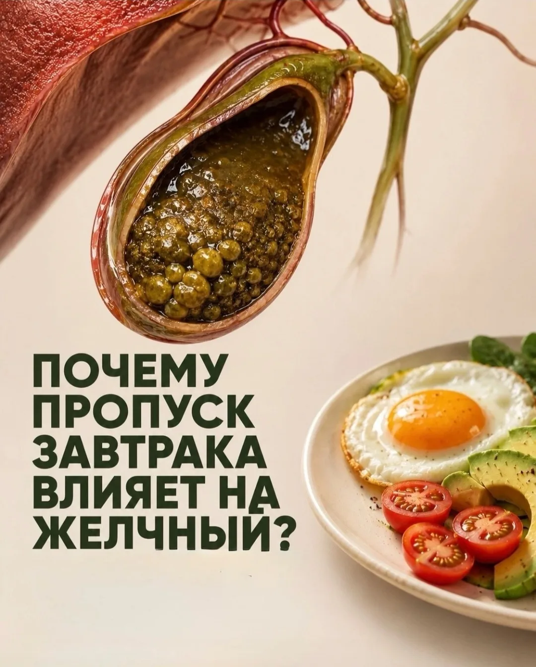КАК ПРАВИЛЬНО ЗАВТРАКАТЬ? 🍳