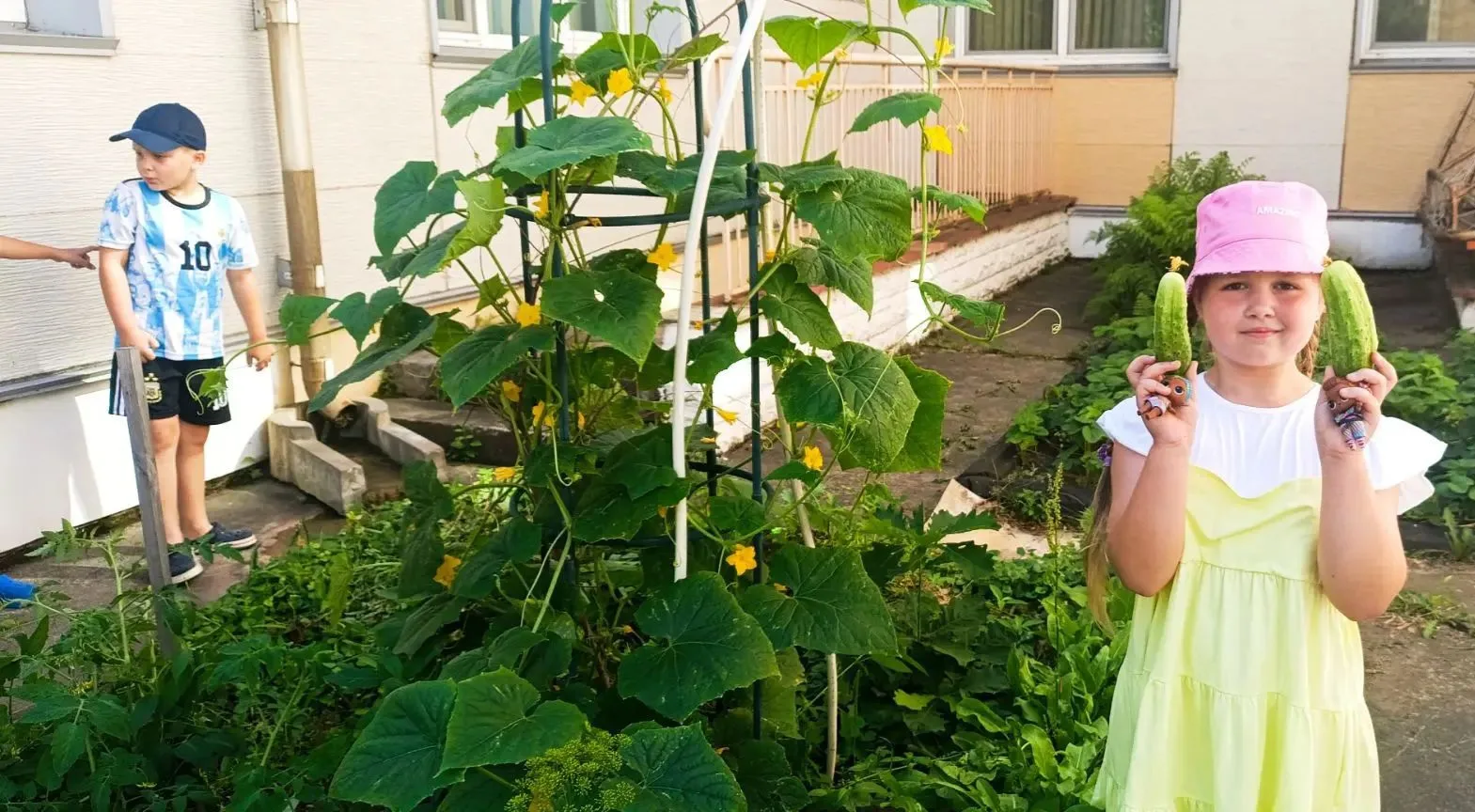 🥒🍅 Огород в детском саду: учимся, наблюдаем, растём! 🌱

Наши ребята вместе с воспитателями ухажив