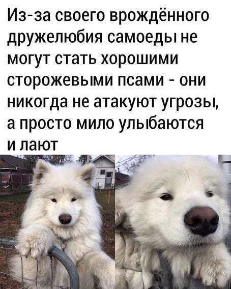 ____________________
Помощь со всеми видами работ

👉Заказать помощь в MAX
👉Заказать помощь в Teleg