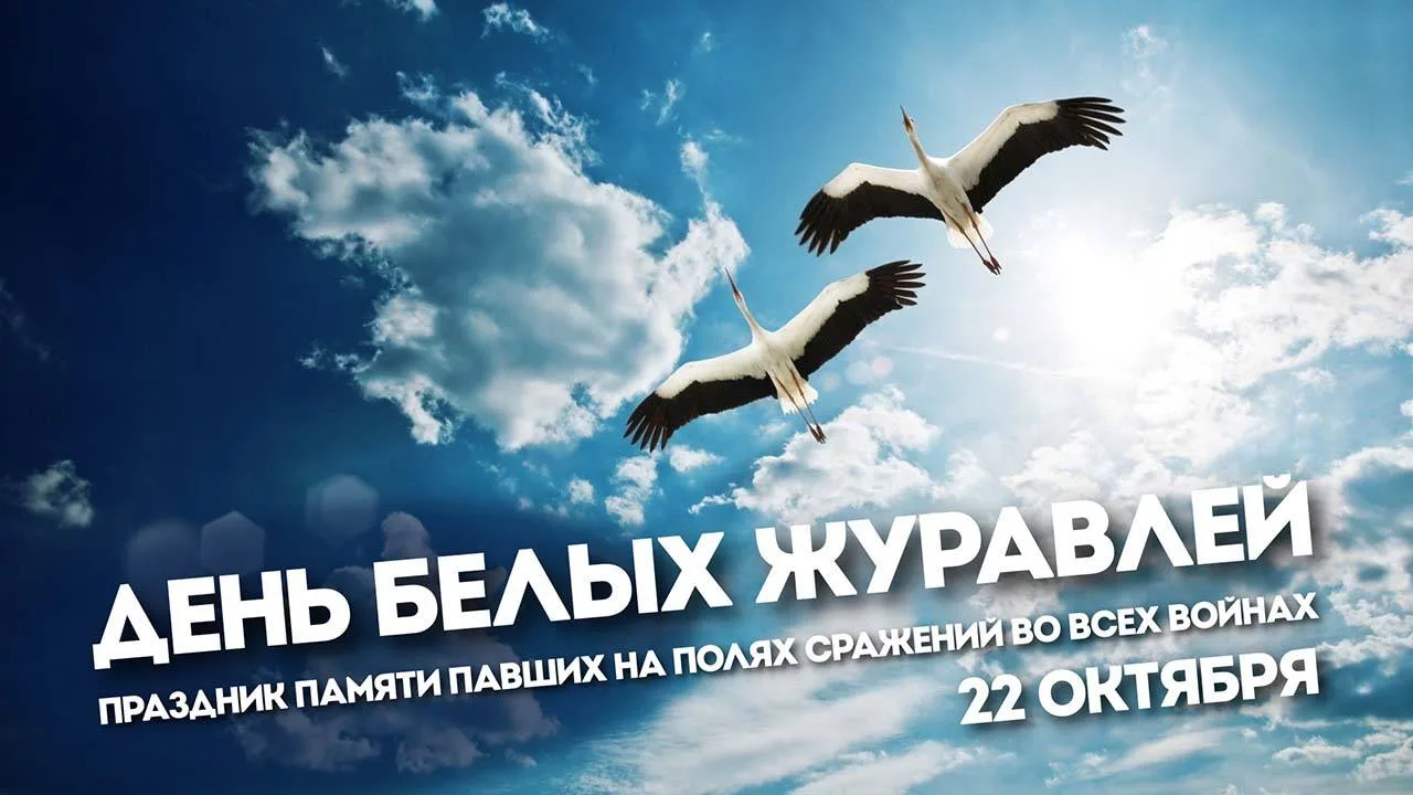 🕊️ «Память жива, пока мы помним…»