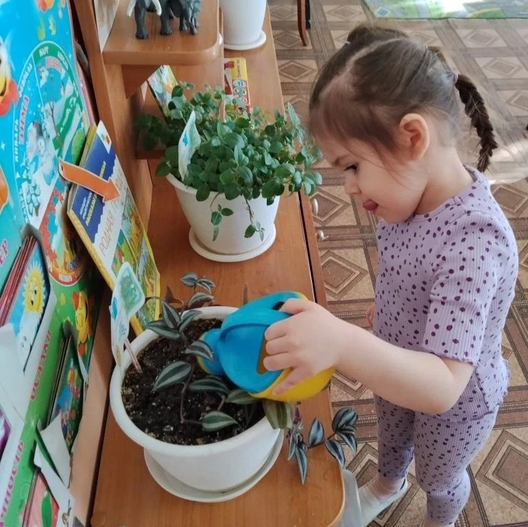Комнатные растения — это не просто элемент декора. Они:
