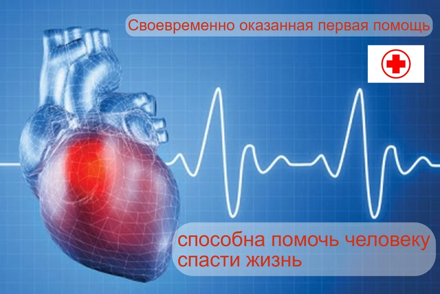 ❤️Инфаркты и инсульты
⚡️Особое место в борьбе с сердечно-сосудистыми заболеваниями занимает оказание