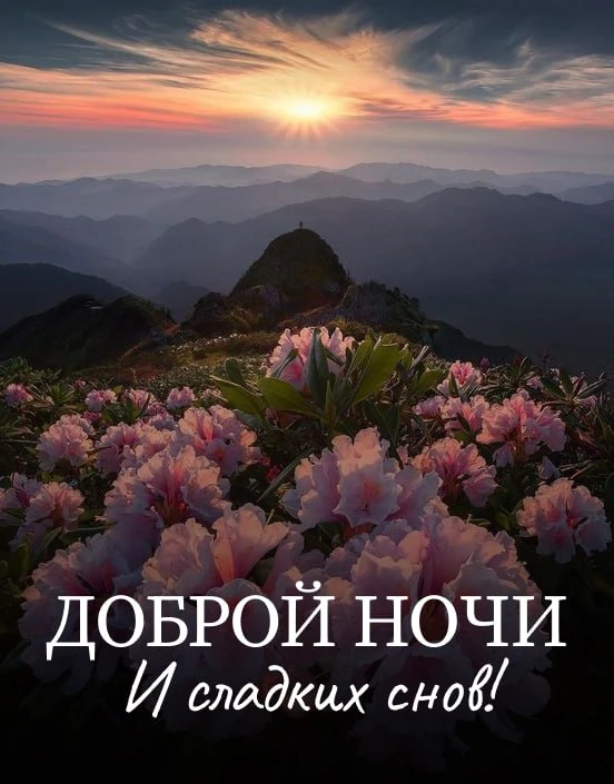 Спокойной ночи! 🌙