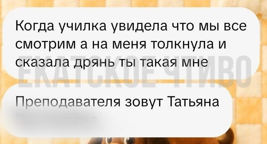 Ученикам школы №156 в Екатеринбурге, кишащей тараканами, якобы запрещают снимать насеко...