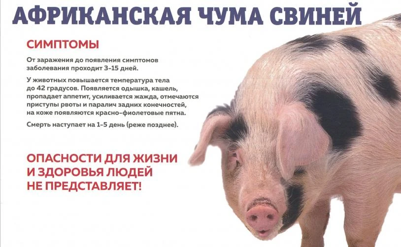 Уважаемые жители р.п. Куйтун и Куйтунского района!