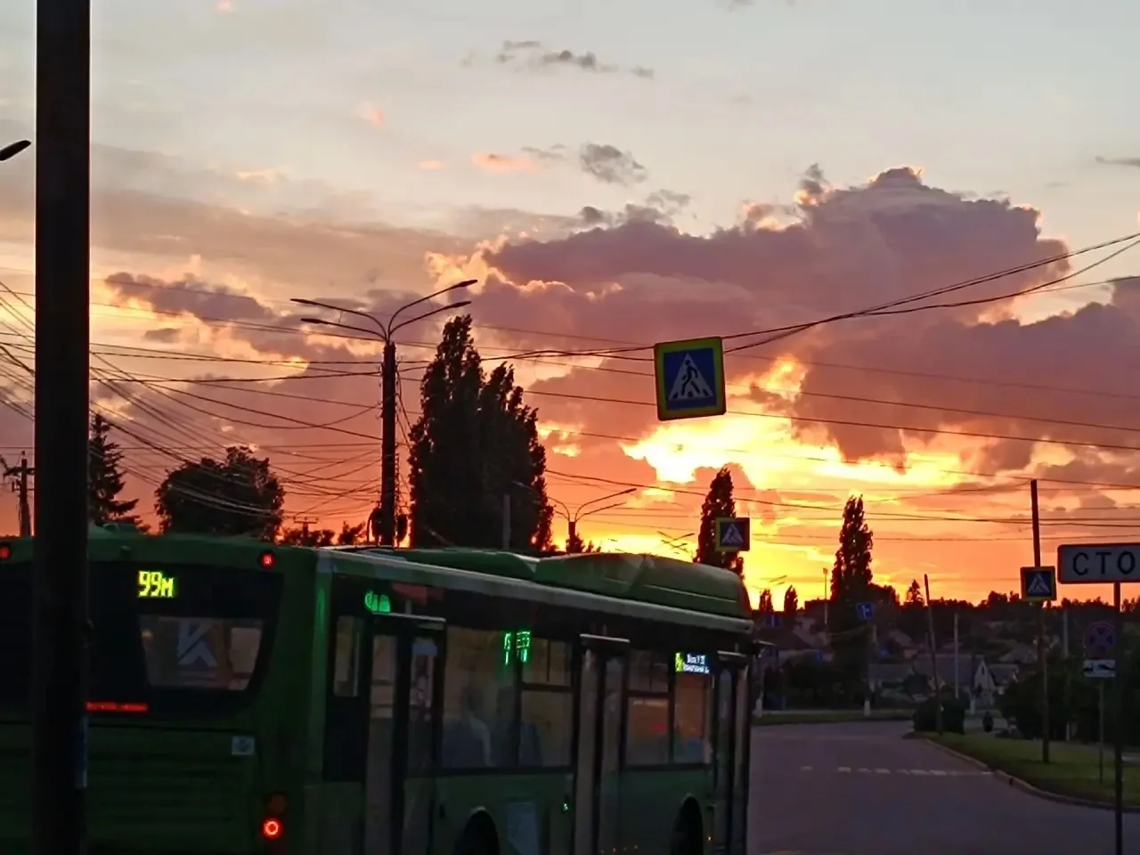 🌤 До +26° тепла ожидается в Курской области 19 июня