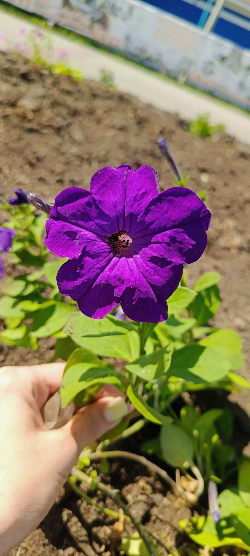 Рабочая неделя началась плодотворно🌺
