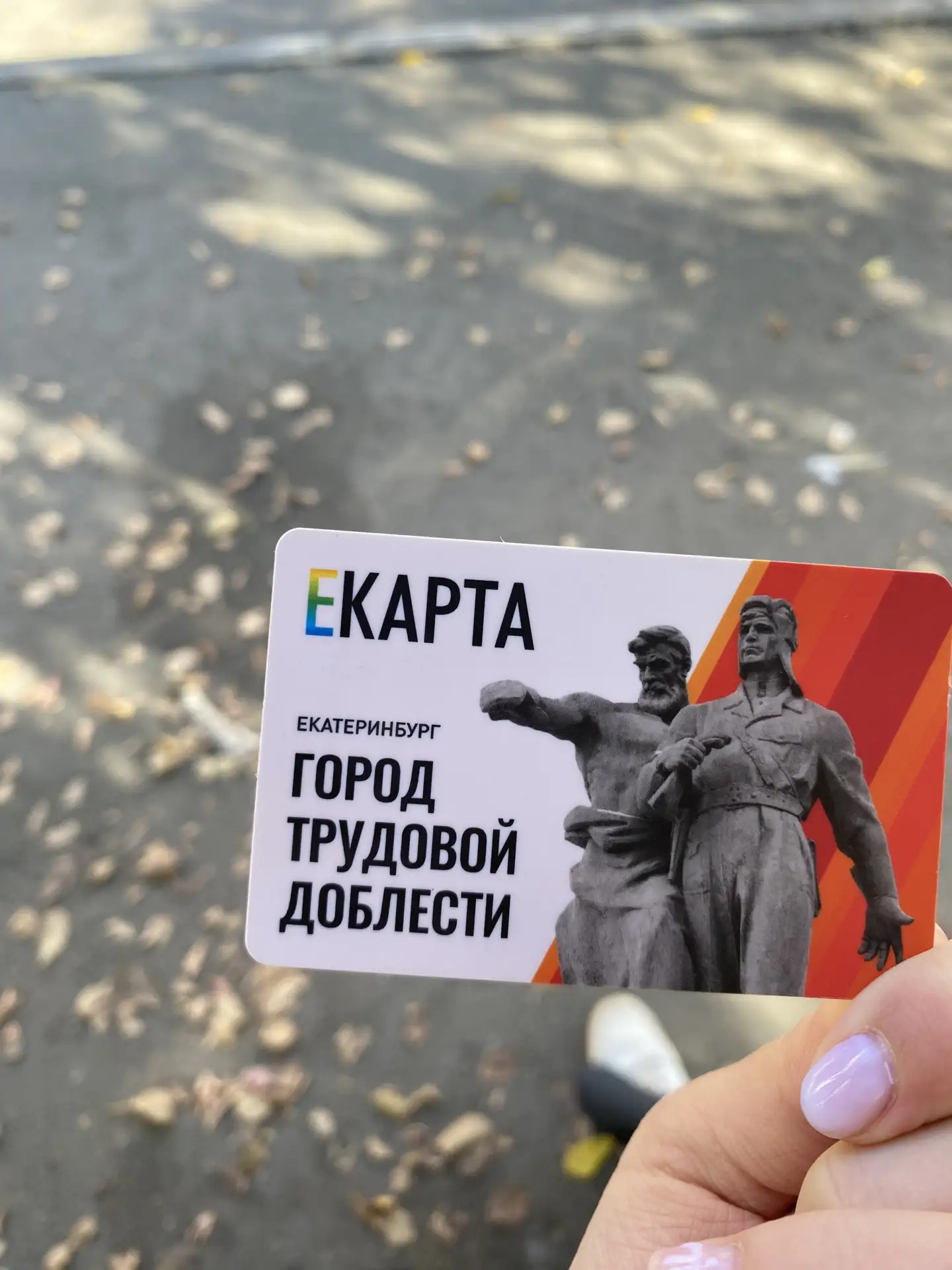 Нашли екарту на остановке «школа»