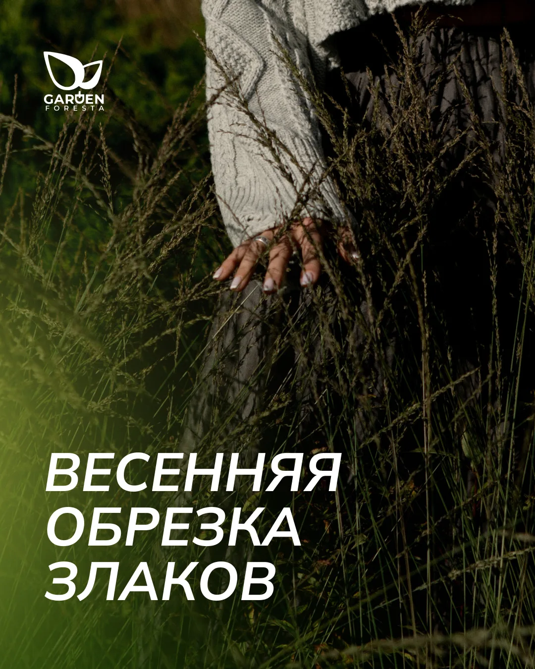 Шпаргалка по обрезке злаков 🌾