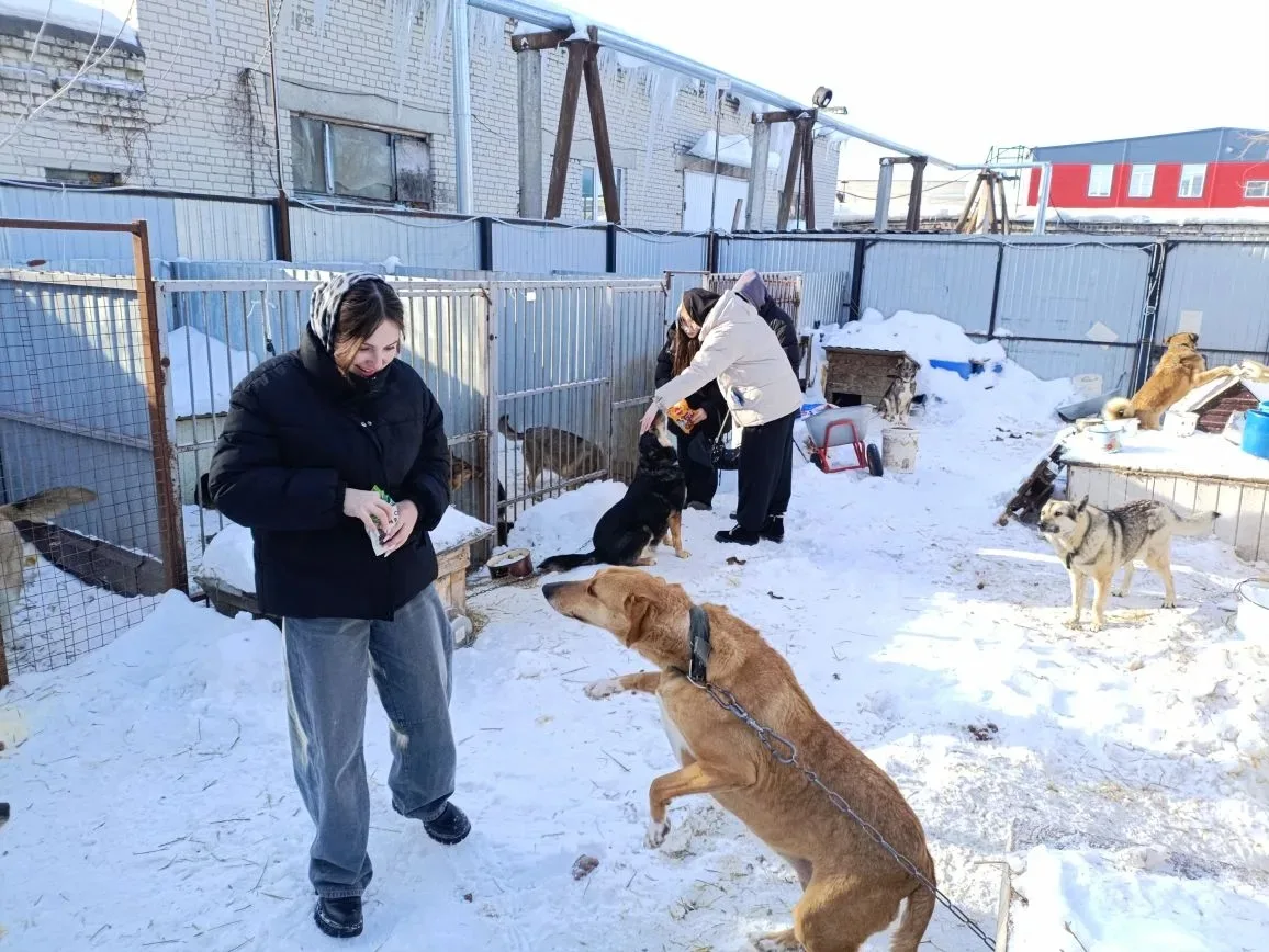 Посещение приюта для собак "Ковчег"  Ребята 11э класса недавно посетили приют для собак "Ковчег", ос