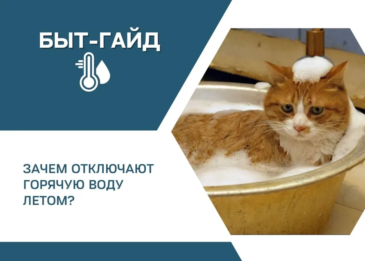 Каждое лето один и тот же вопрос: почему в 21 веке мы до сих пор вынуждены мириться с отключением го