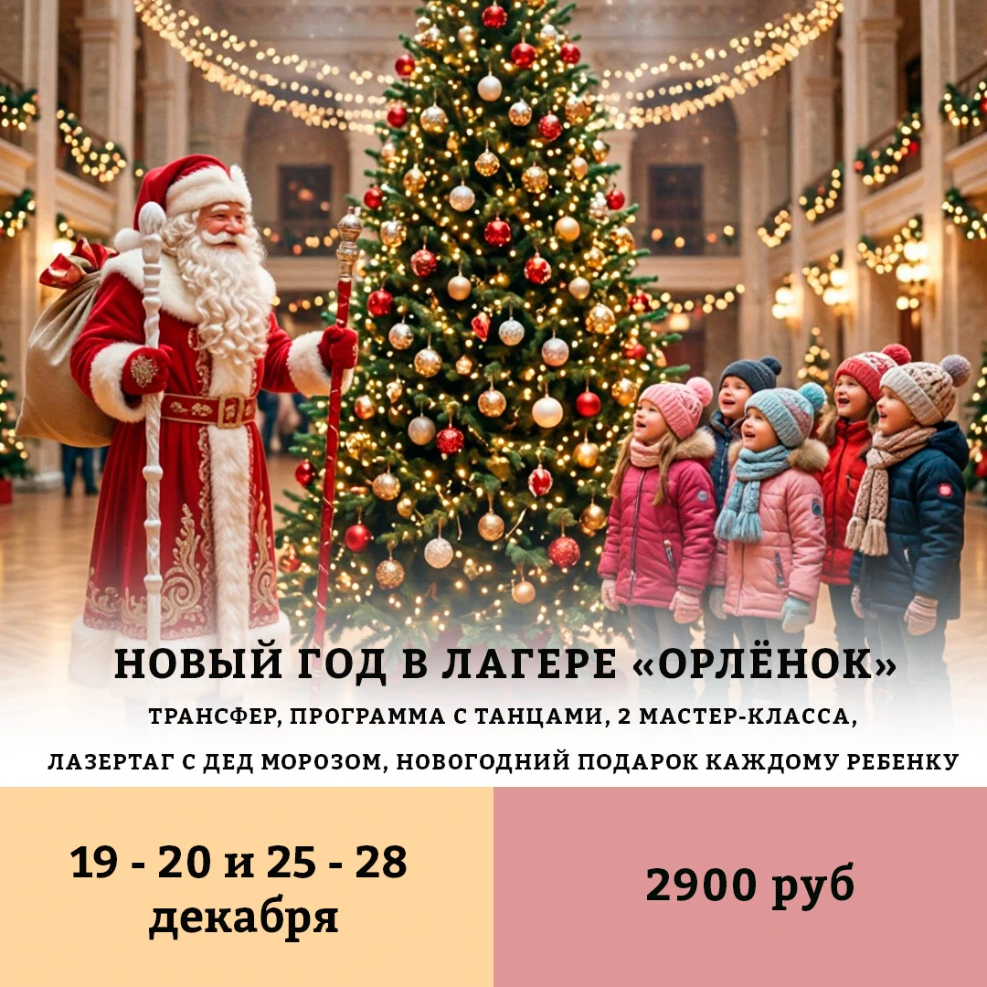 Тур – Новый год в лагере "Орленок"