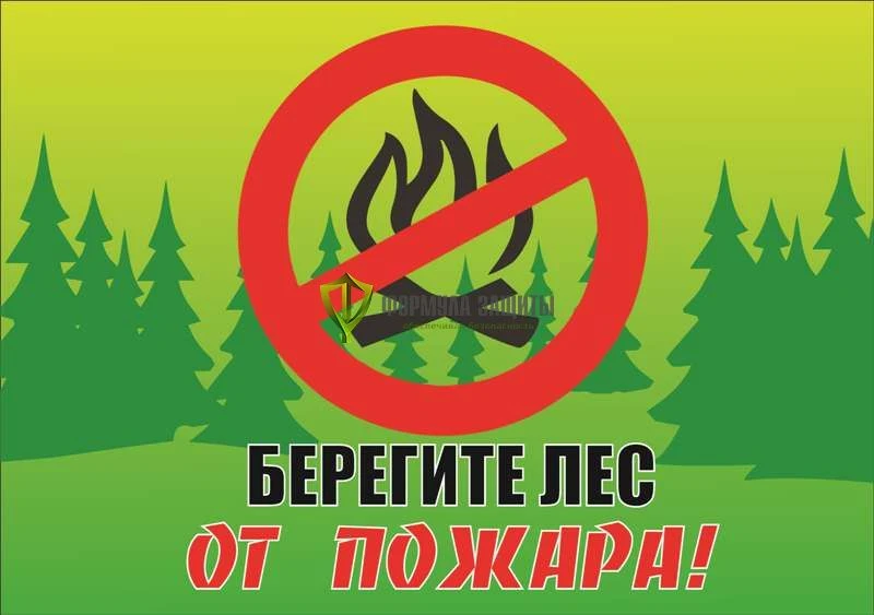 ❗️Безопасные каникулы! Берегите лес от пожара!!!🔥🔥🔥