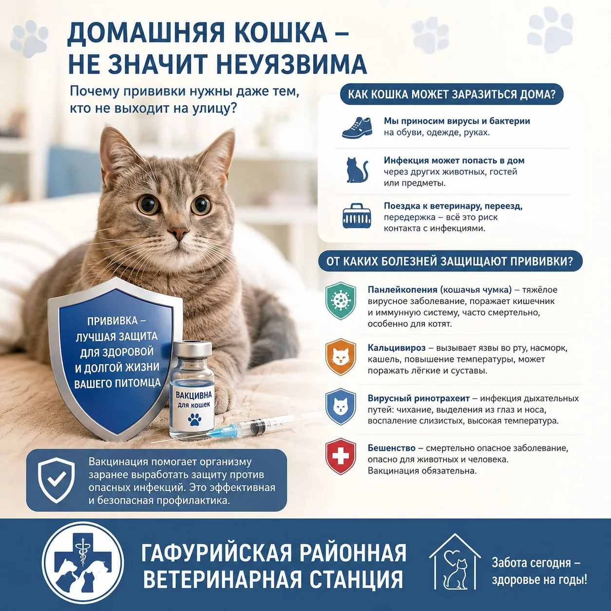 Многие владельцы кошек считают, что если питомец живёт только дома и не выходит на улиц...