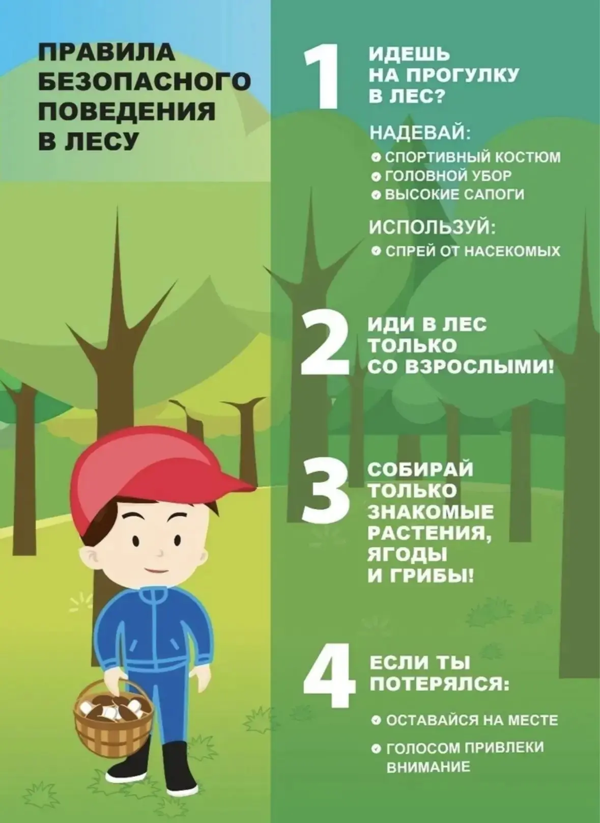 🌲 Памятка: безопасность в лесу и на природе

🗺 Перед выходом:
• Обязательно сообщите родным или др