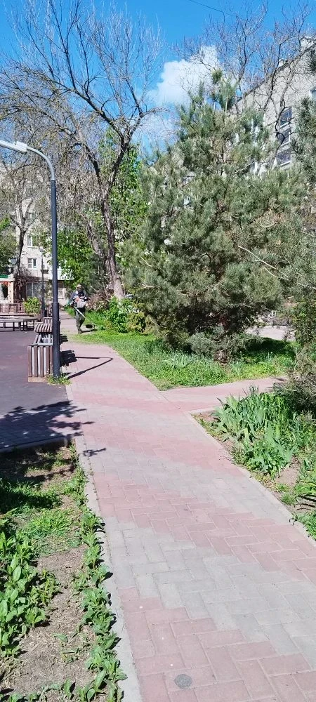 28.04.2026 г. произвели покос травы на МКД г. Ростов-на-Дону, ул. 1-я Баррикадная, д. 48