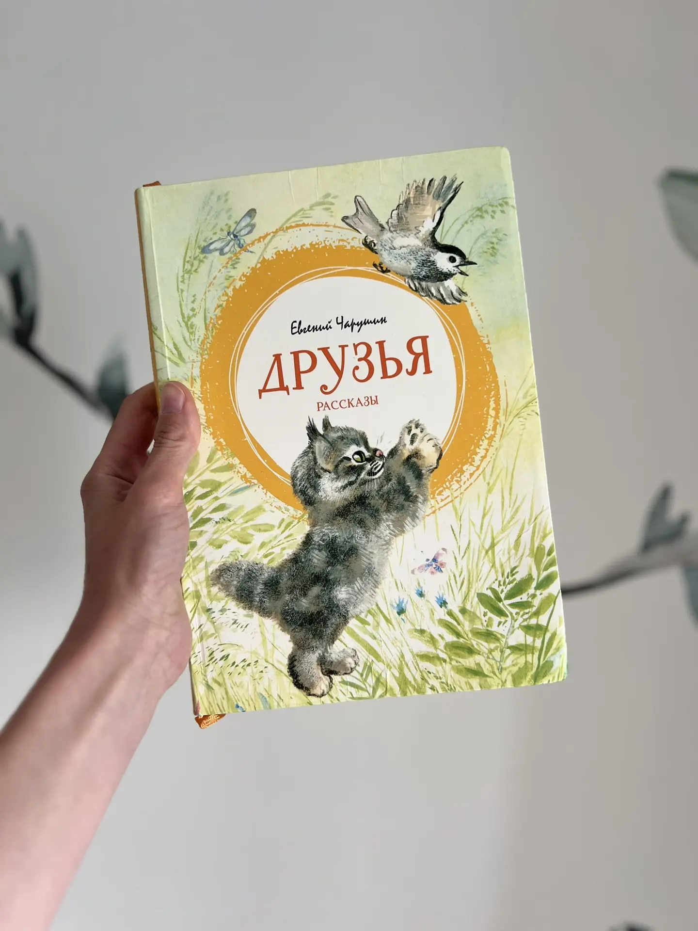 Что будет читать моя дочь этим летом