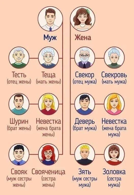 Гайд по семейному древу.

@FactTG