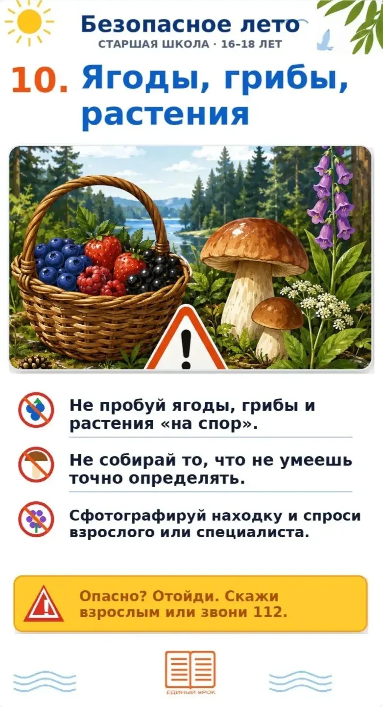 А эти памятки — для старшеклассников 16–18 лет. Те же важные темы, но уже на взрослом уровне: без за