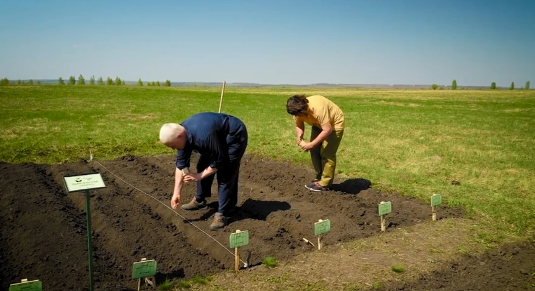🌱 На Куликовом поле взошло посеянное историческое зерно

Результаты уникального эксперимента по выс