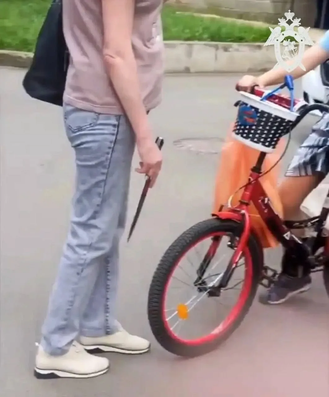⚡В Ставрополе ищут женщину, которая вышла к подросткам с ножом 🔪