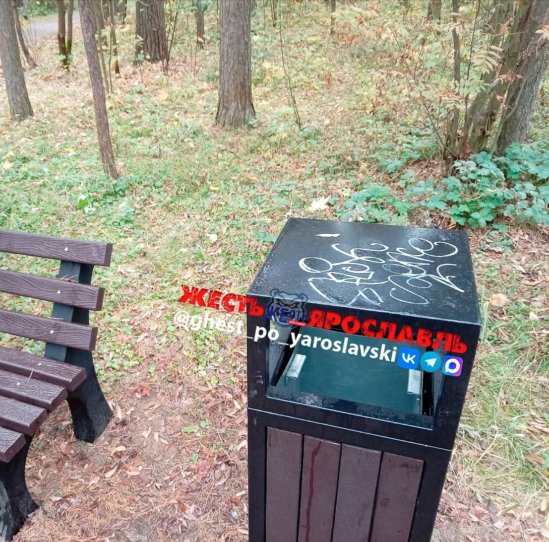 В Тверицком бору установили скамейки и урны. Красота! Спасибо!!! Но нелюди тут же все и...