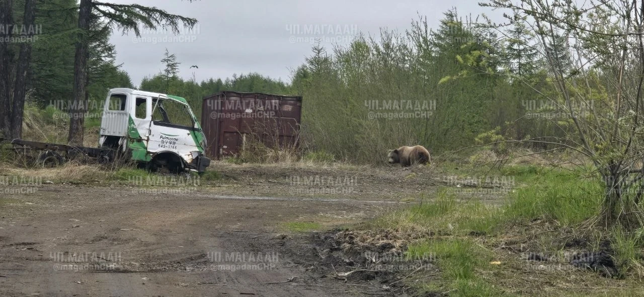 От подписчика: