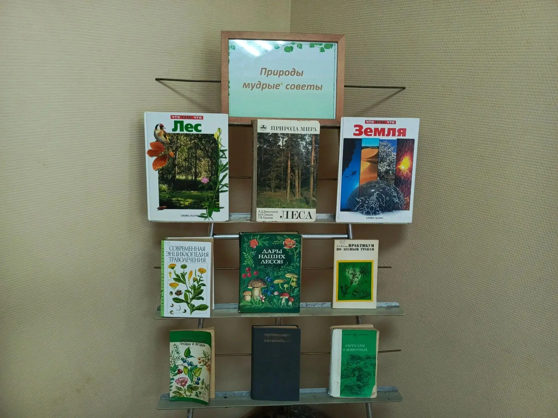 🌿 «Природы мудрые советы» — в Ситьковской сельской библиотеке открылась выставка-диалог! 🌿
Заходит