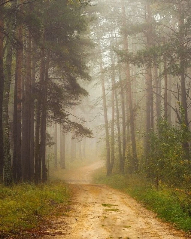 ​​Заговор в дорогу.