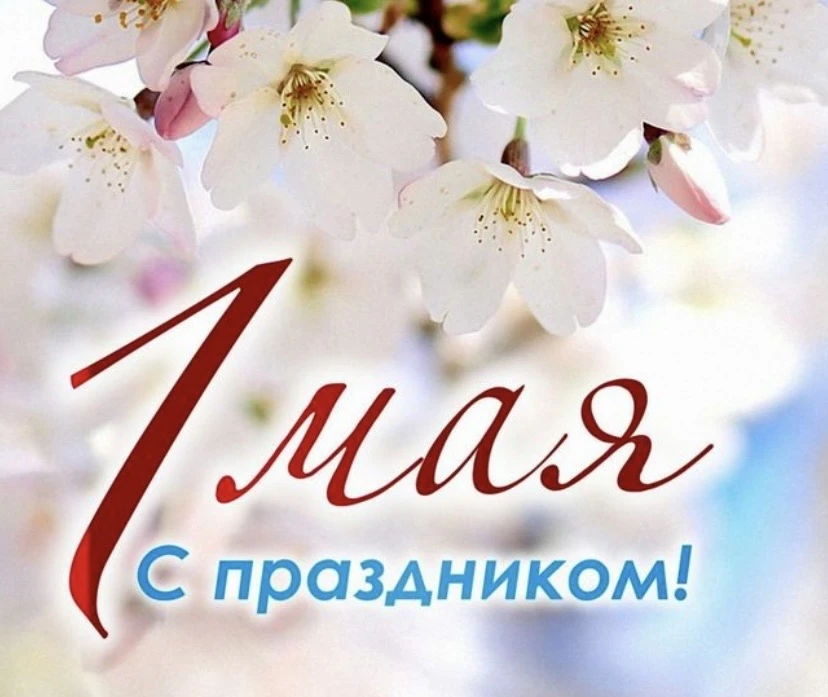 Дорогие гости ❤️