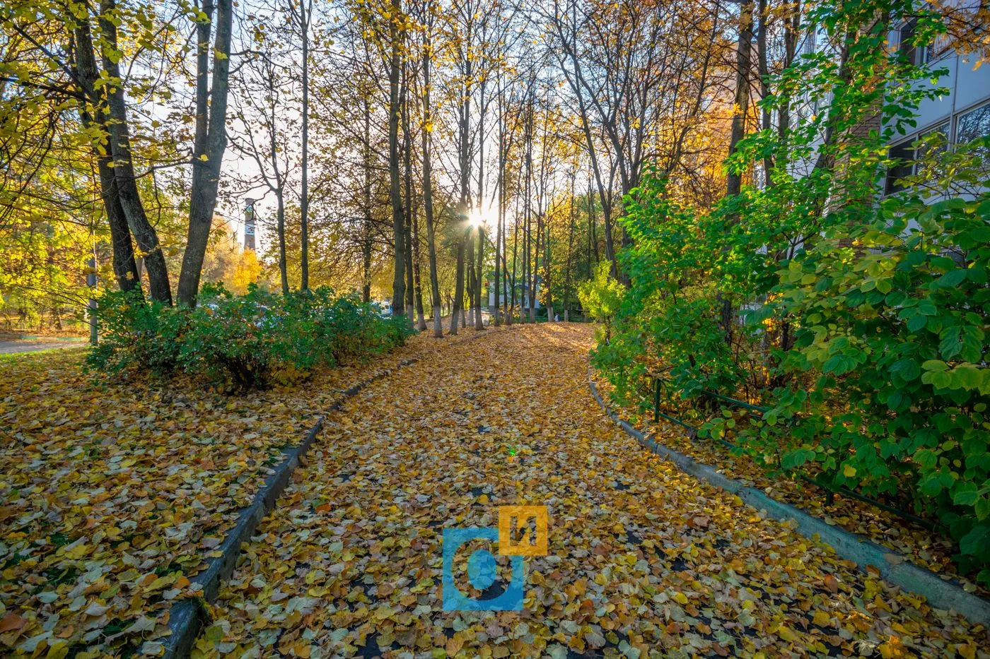 Доброе утро! Всем отличных выходных!