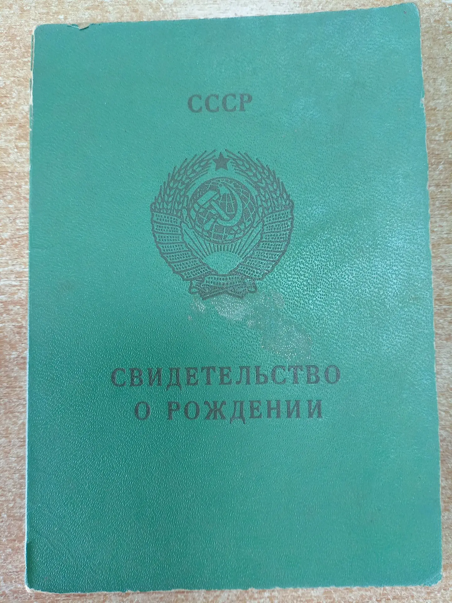 Решением суда установлено материнство истца
