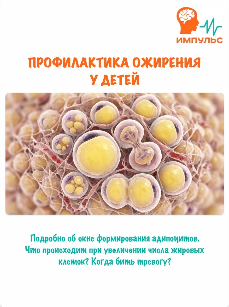 Профилактика ожирения у детей 😋🍔