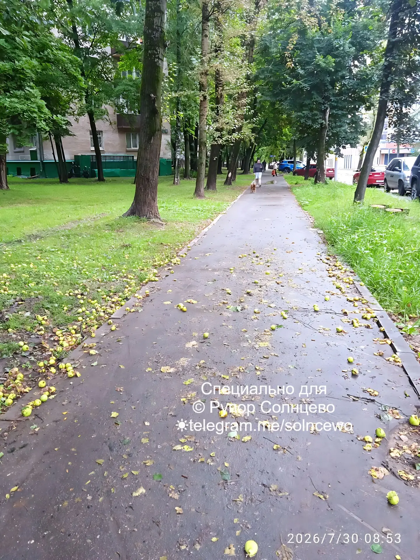 Прошу уполномоченную службу убрать пешеходный тротуар уже скользко ходить Боровский проезд дом 12. Г