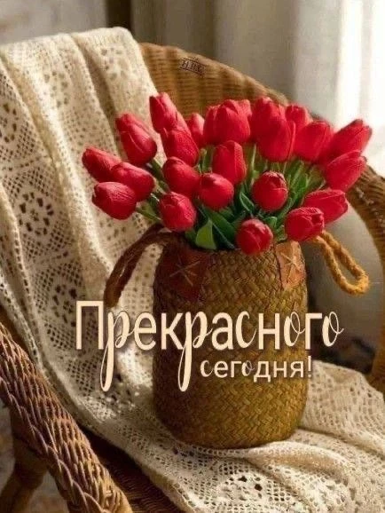 🥰 Оставляйте реакции, если понравилась открытка и делитесь с близкими ❤