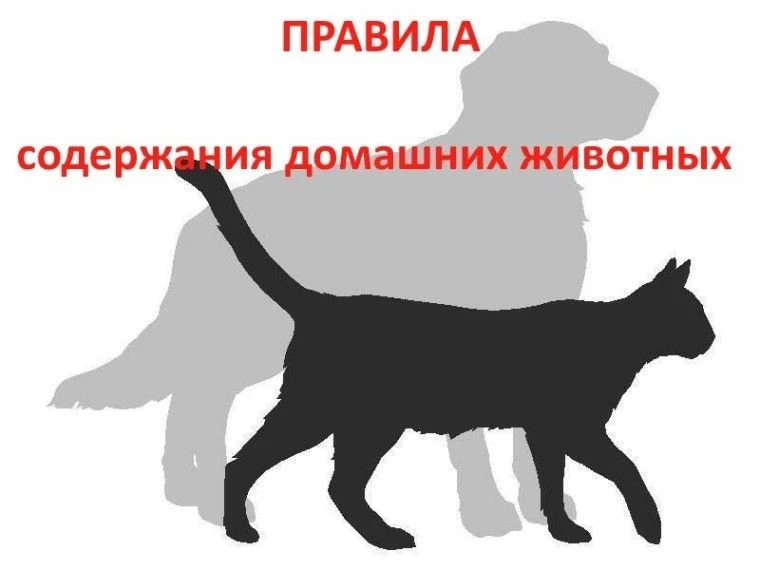 Памятка об основных требованиях законодательства при содержании (выгуле) домашних животных