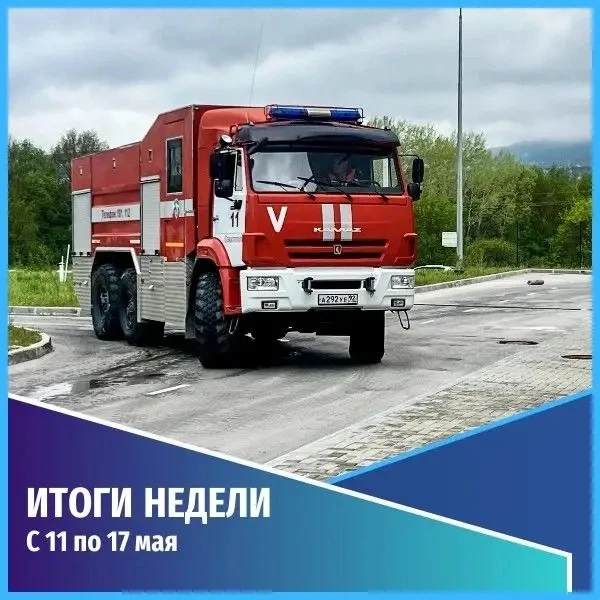 Общественная безопасность.