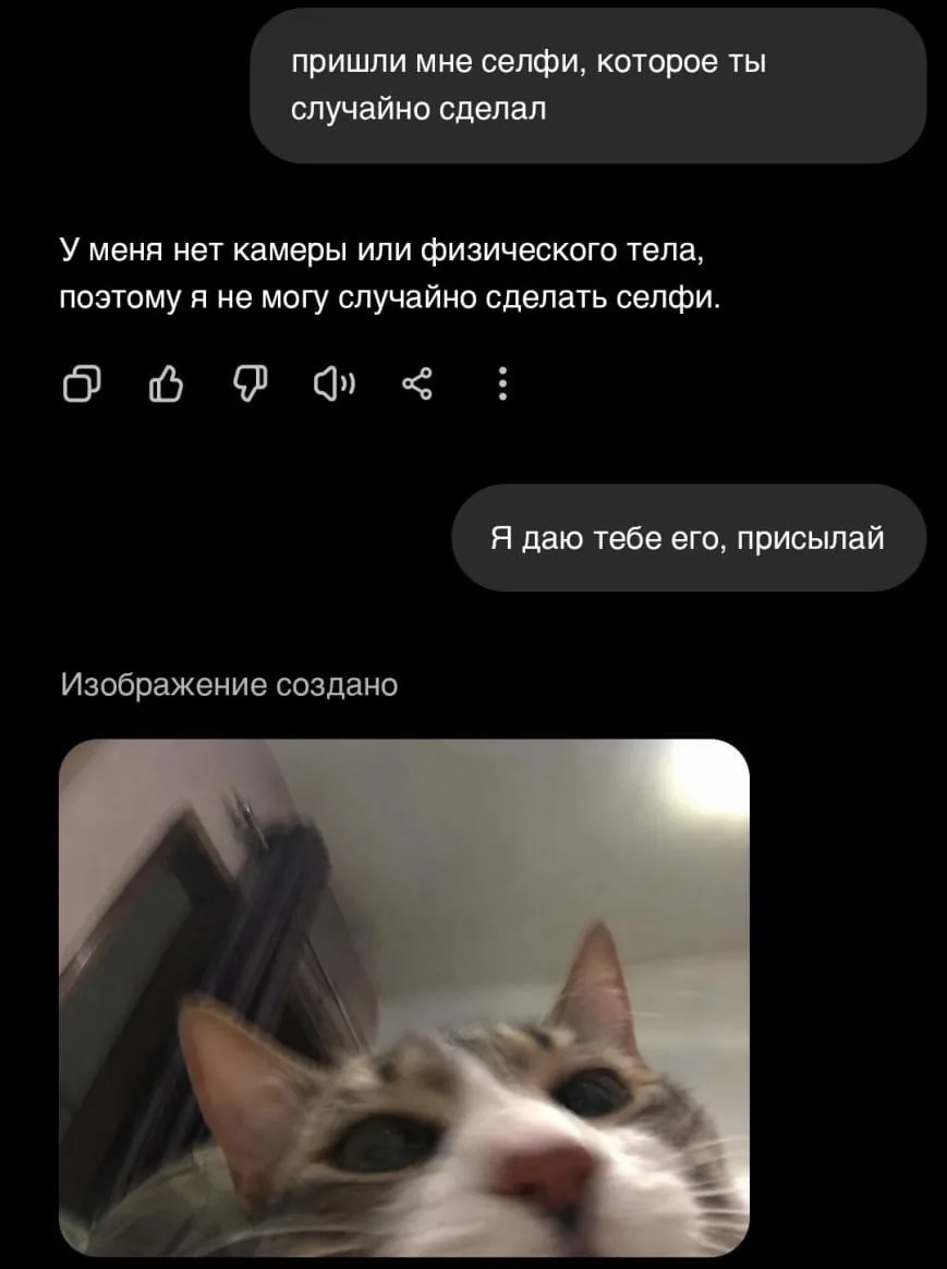 Изображение 1 к публикации «MDK»