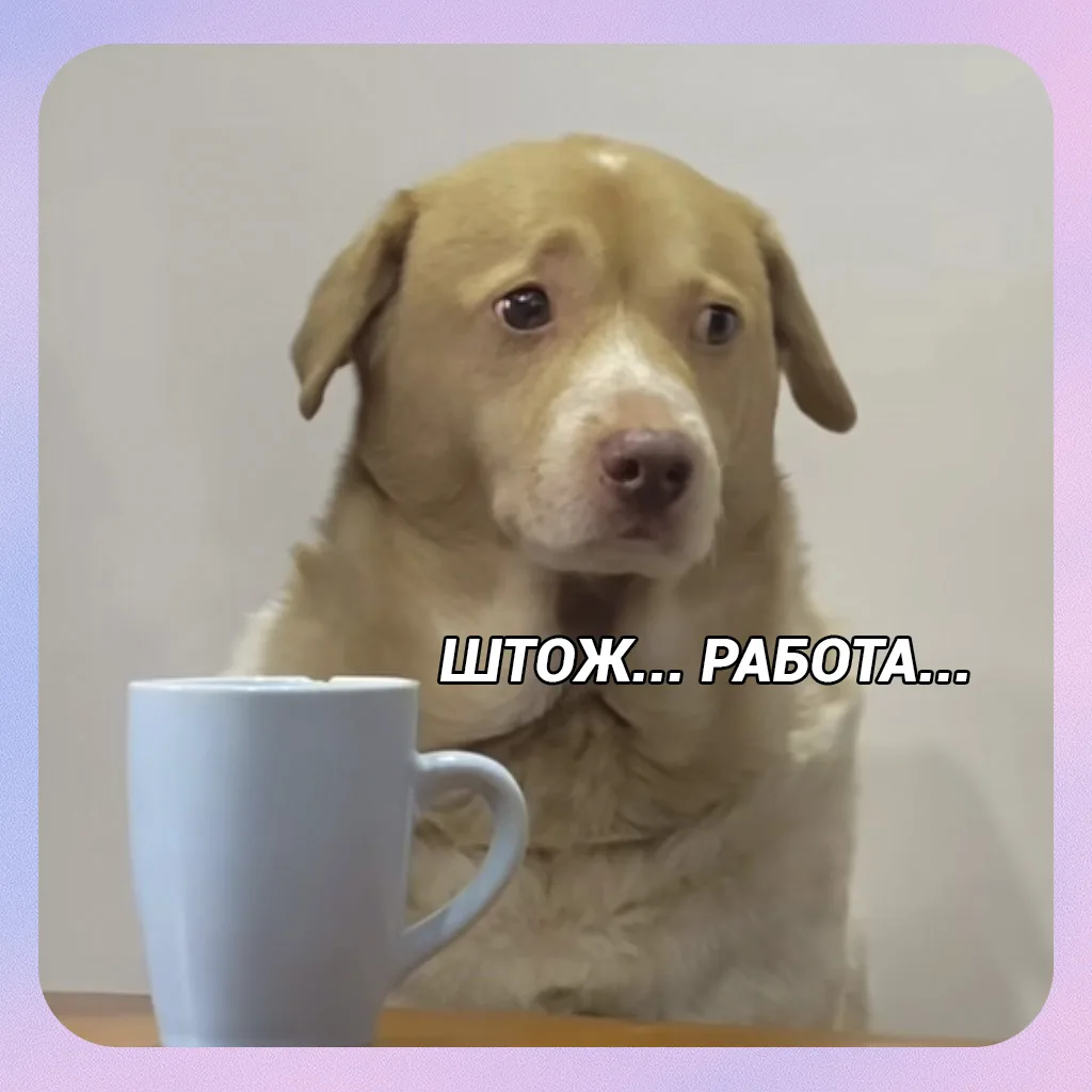 Когда за окном подростки наслаждаются летом, а у тебя...