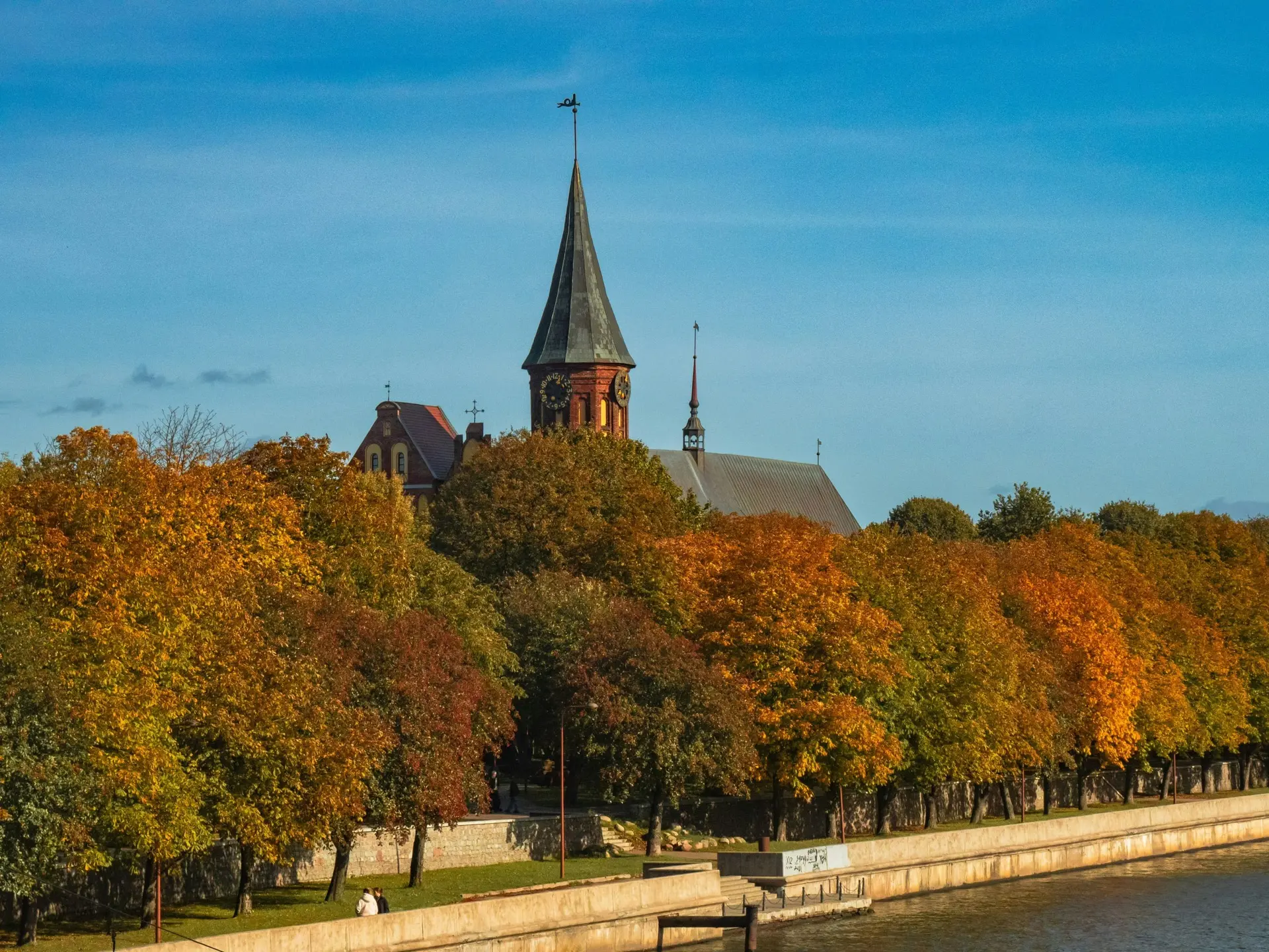 Калининград осенью — это совершенно особенное настроение! 🍂