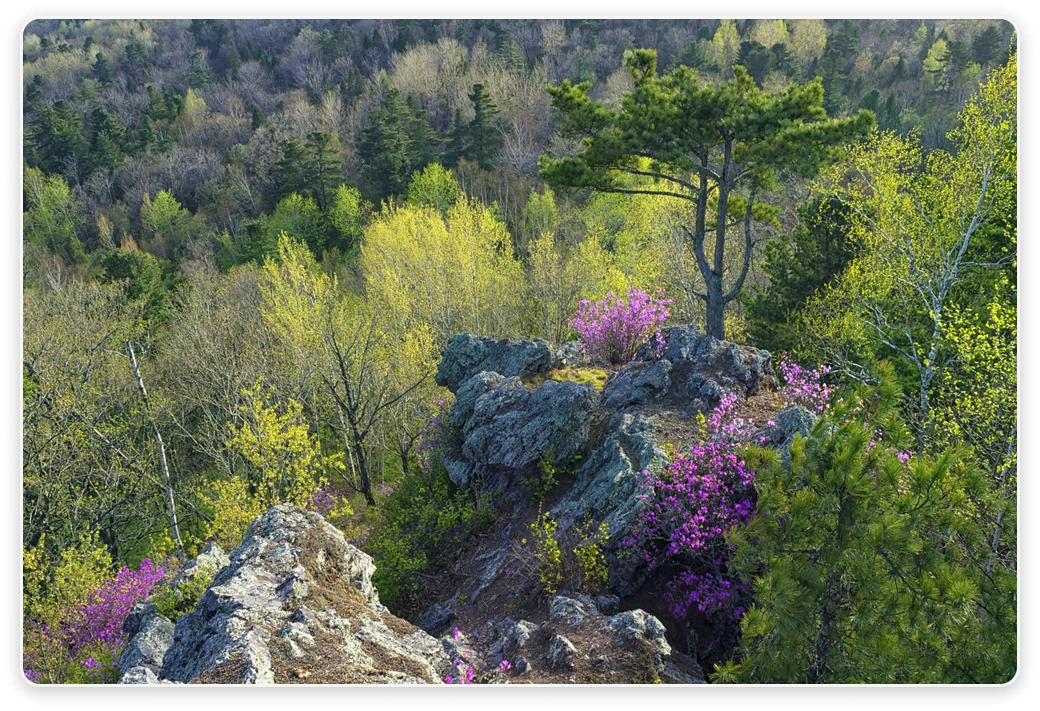 🌥 18 мая в Комсомольске-на-Амуре от + 10 до + 15 градусов.  Ветер слабый, северный 3.6 м/с. Незначит