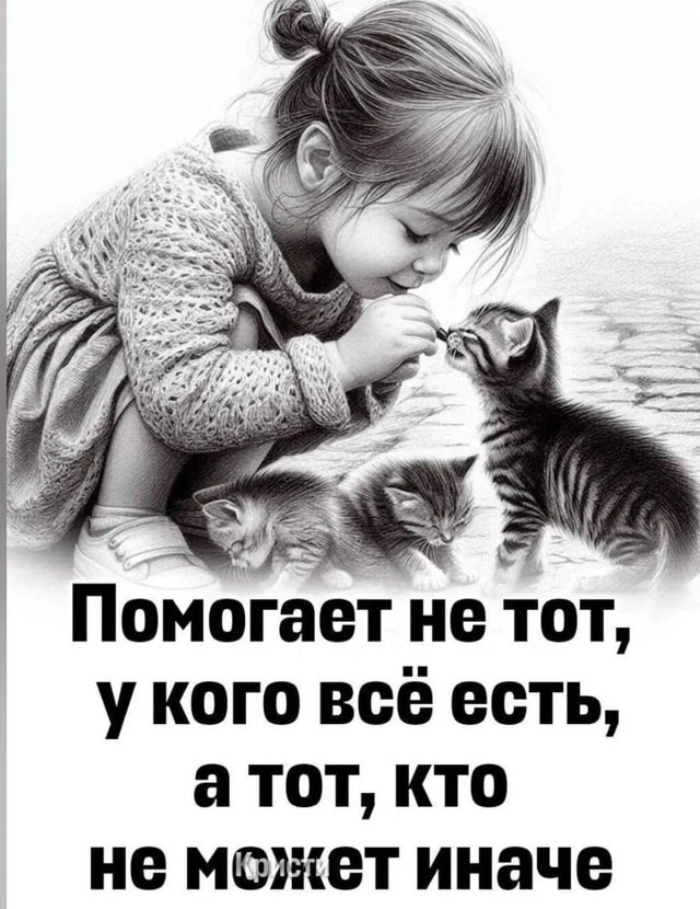 ✨🐾 ЗАМКНИ КРУГ ДОБРА: "ДЕНЬ СТОЛЬНИКА" ДЛЯ БЕЗДОМЫШЕЙ! 🐾✨