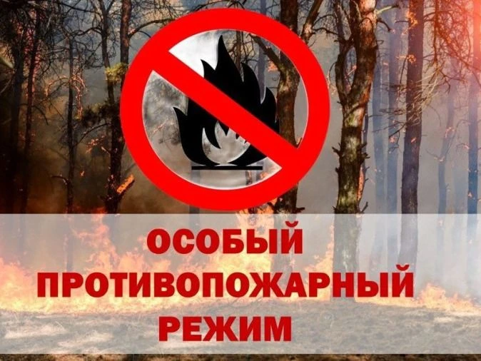 Постановлением Правительства Удмуртской Республики от 15 мая 2026 года № 305 на территории Удмуртско
