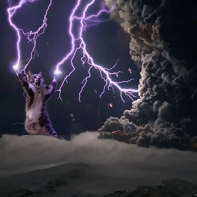 Праздник под раскаты грома ⚡️