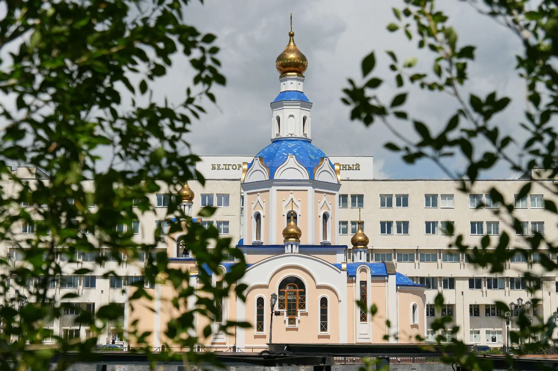 Друзья! Сегодняшний прекрасный день попал в объектив нашего доброго друга - сотрудника ...