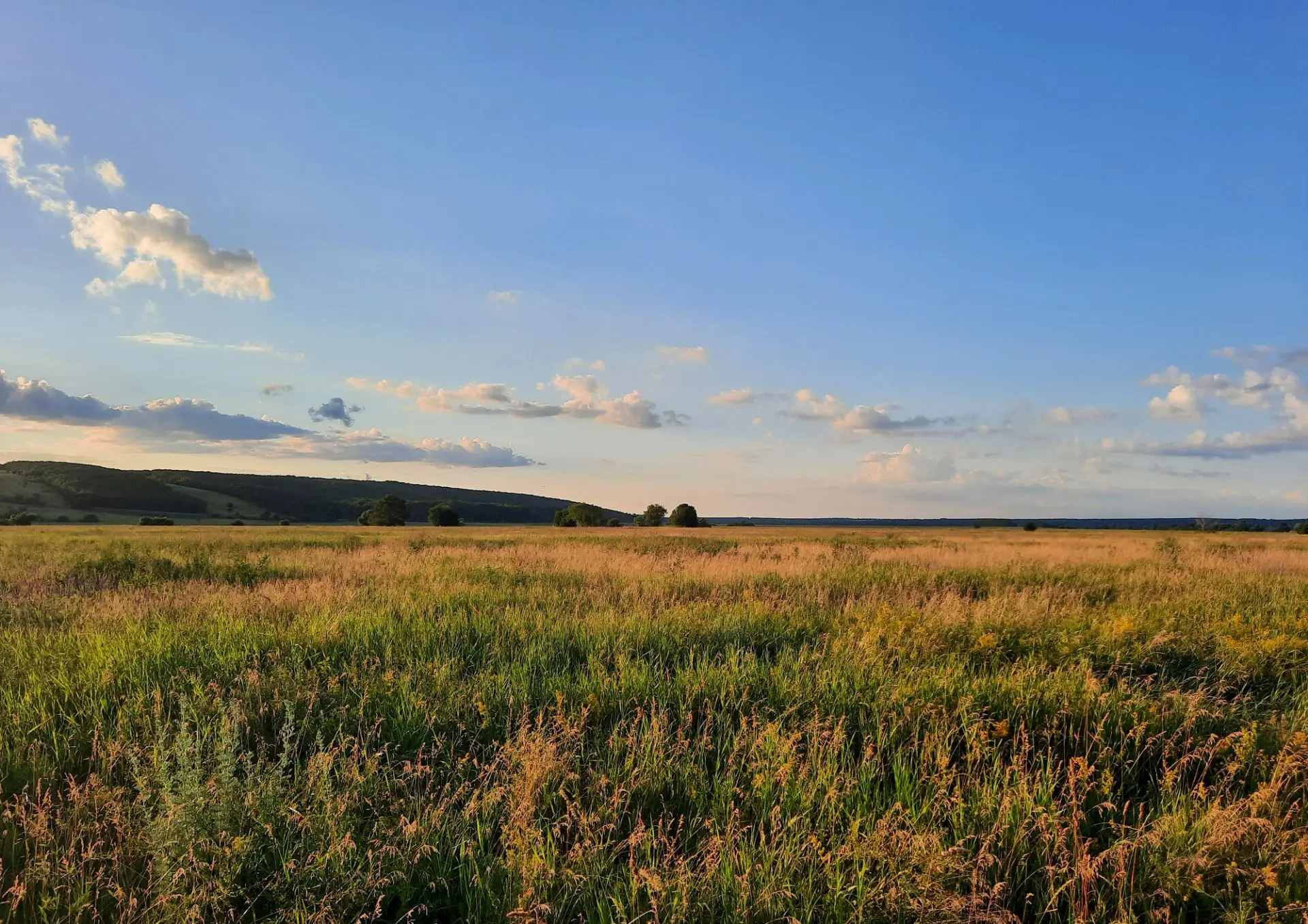 🏞️ Долина Дона